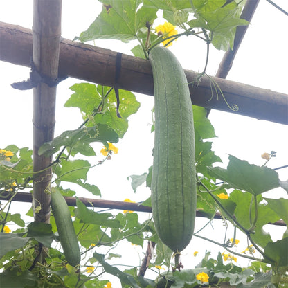 Natural and eco-friendly Cleaning Loofah Sponge Scrubber For Kitchen Bathroom Bath Shower Pot Bowl Sponge Scrubber Spa Bathroom