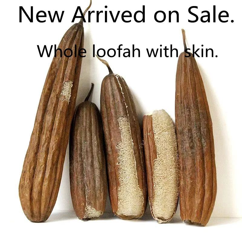 Natural and eco-friendly Cleaning Loofah Sponge Scrubber For Kitchen Bathroom Bath Shower Pot Bowl Sponge Scrubber Spa Bathroom