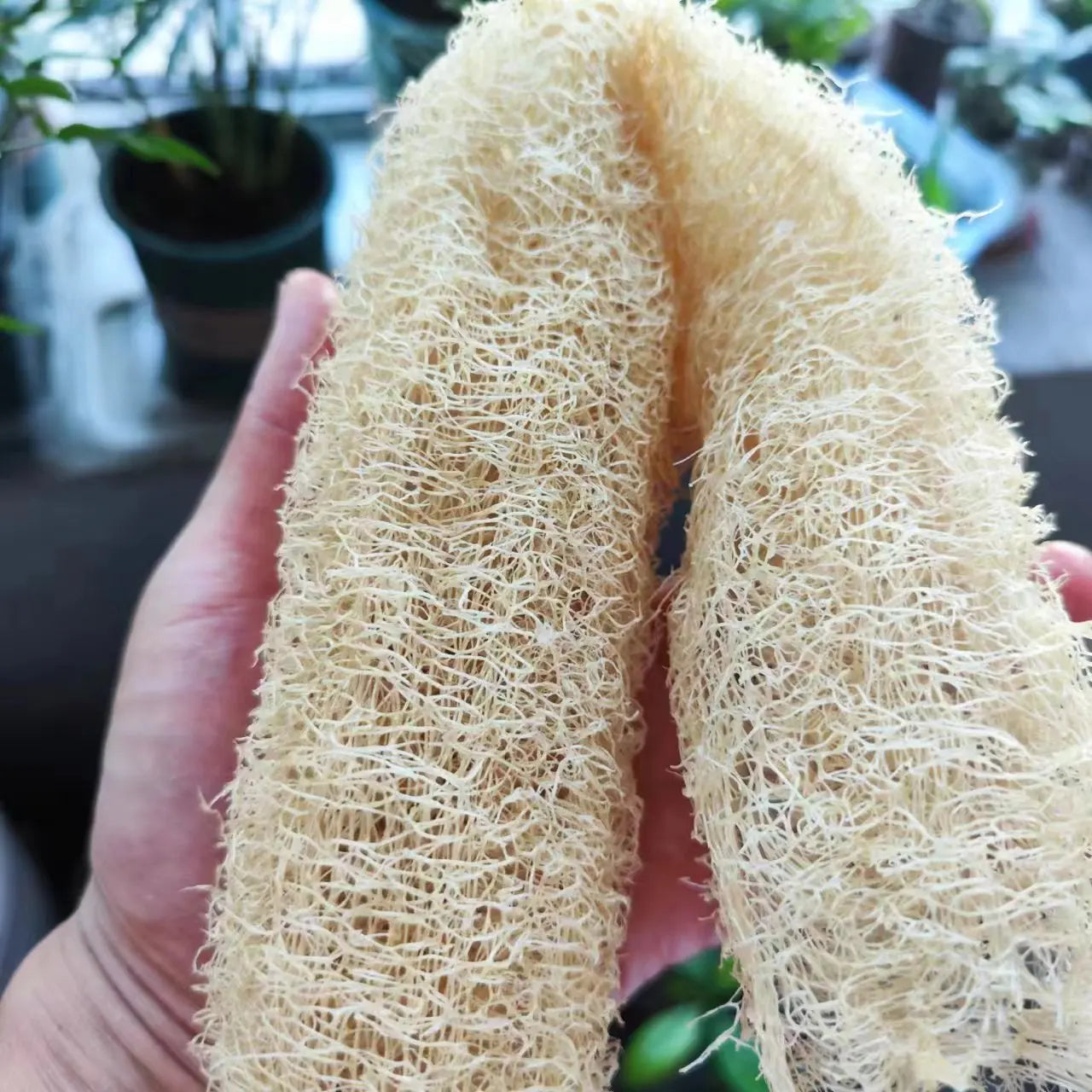 Natural and eco-friendly Cleaning Loofah Sponge Scrubber For Kitchen Bathroom Bath Shower Pot Bowl Sponge Scrubber Spa Bathroom